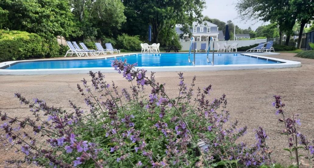 Harwichport Resort Club Harwich Port Buitenkant foto